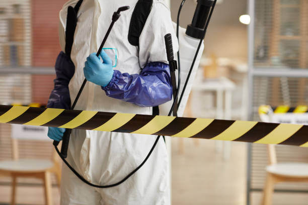 Professional Sewage Cleanup technician working in Litchfield, IL