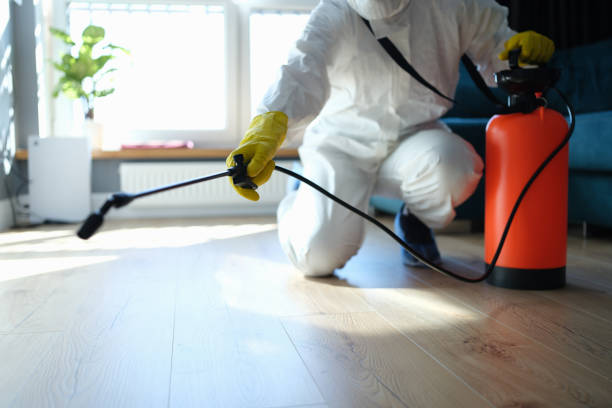 Reliable Sewage Cleanup contractor in Litchfield, IL by Trauma Clean Pros